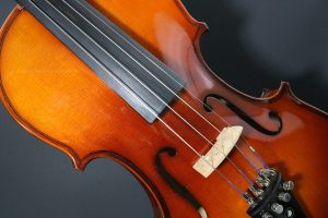 Violin-Orchestra-Instrument